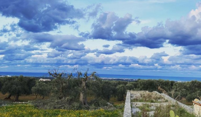 La Guendalina Masseria e Casa Particular