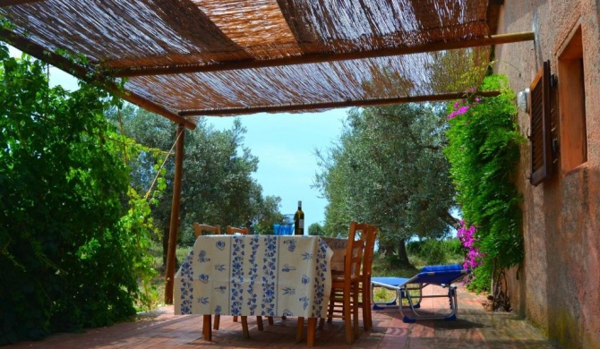 Comfy Holiday Home in Monte Argentario with Garden