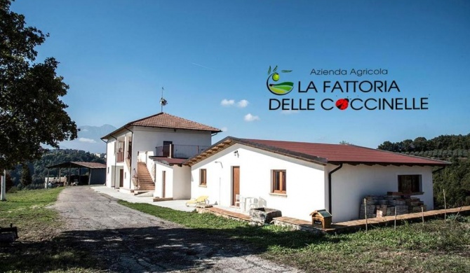 La Fattoria delle Coccinelle