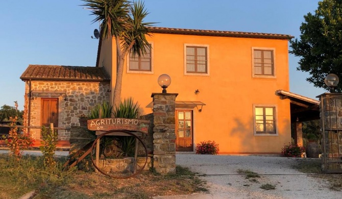 Agriturismo Il Saragiolo