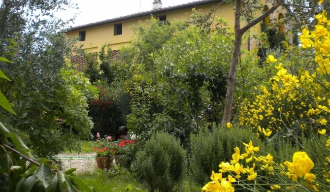 Lovely countryhouse on Chiant hills