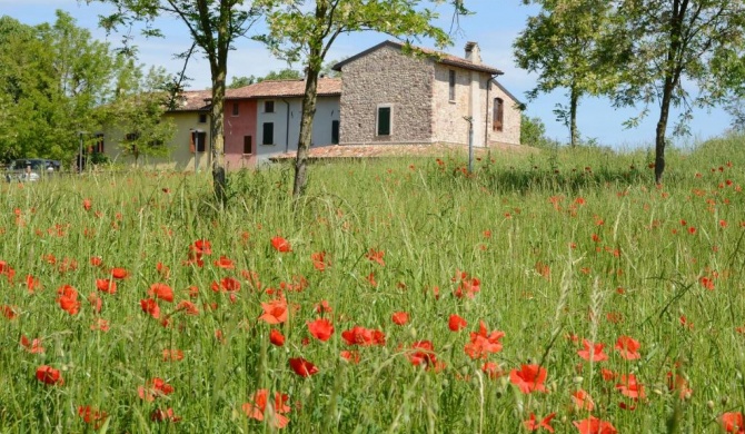 I Barbasse Casa Rossa