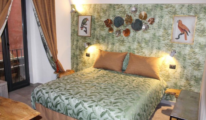 B&B Quispaccanapoli