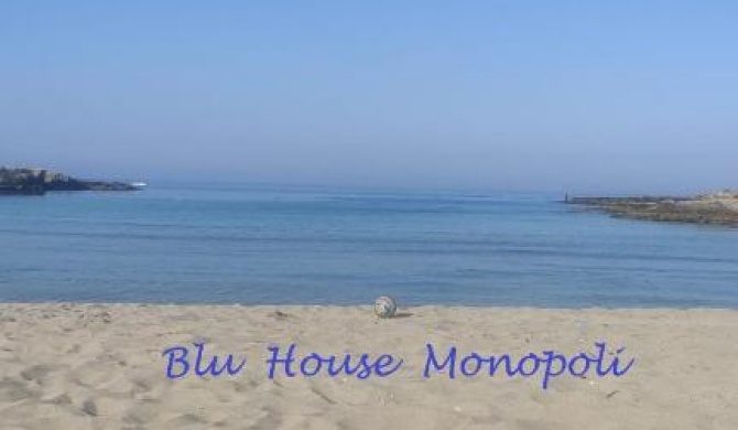 Blu House